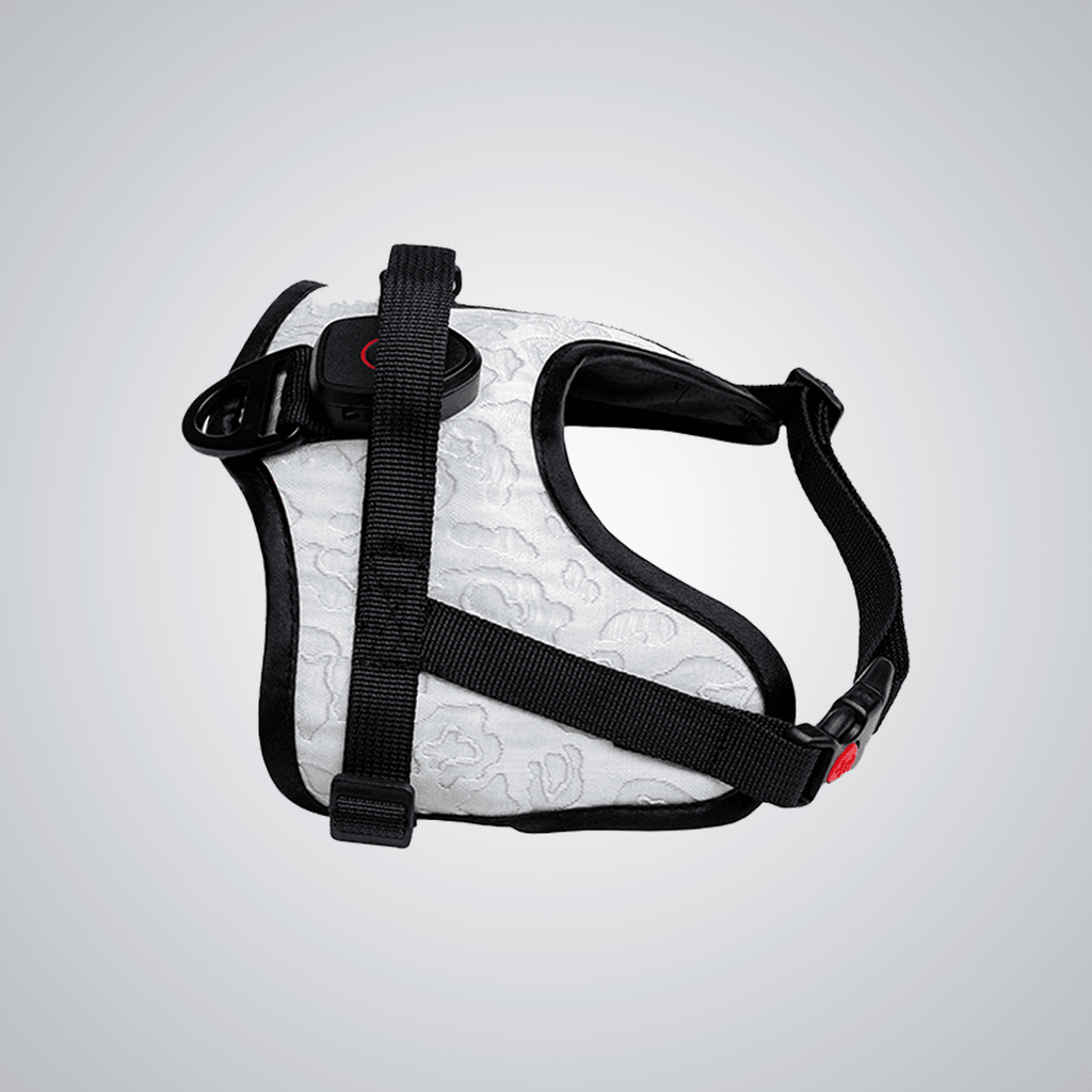 Flexible luminous pet harness - lumipup