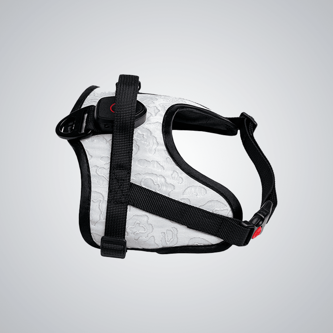 Flexible luminous pet harness - lumipup