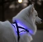 Flexible luminous pet harness - lumipup