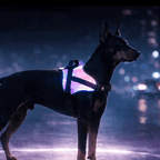Flexible luminous pet harness - lumipup