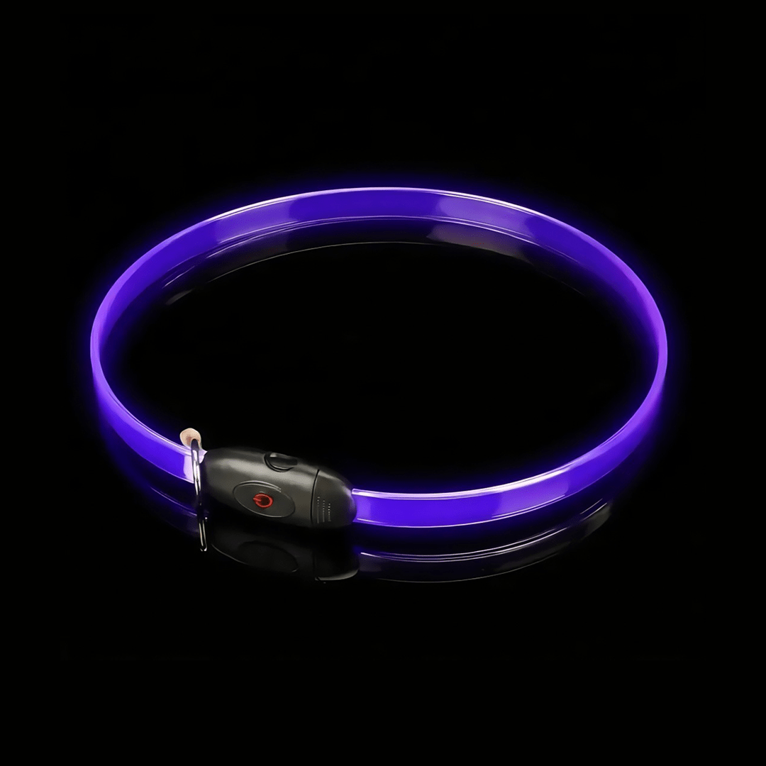 Gradient LED dog collar - lumipup