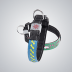 Hollow out LED dog collar - lumipup