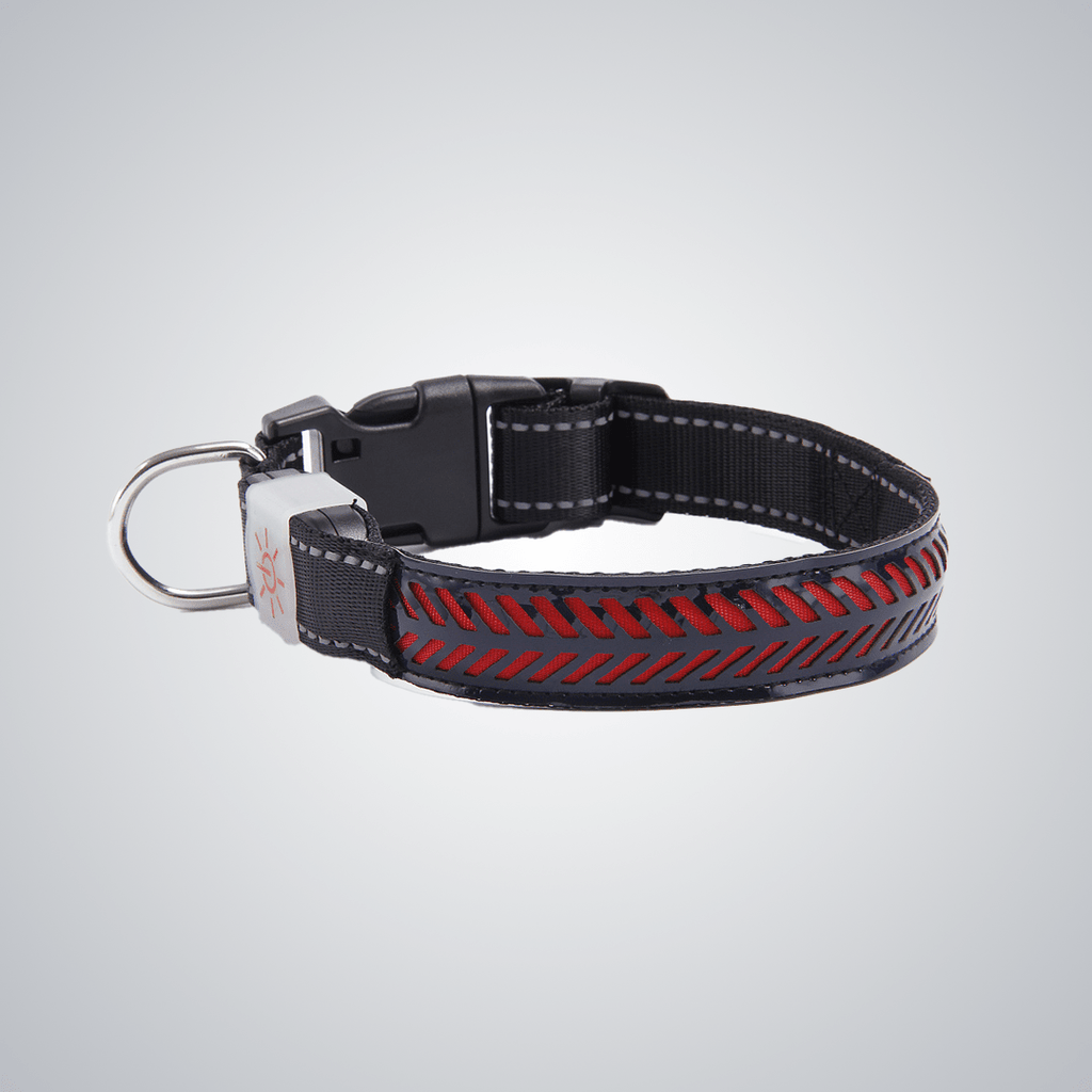 Hollow out LED dog collar - lumipup