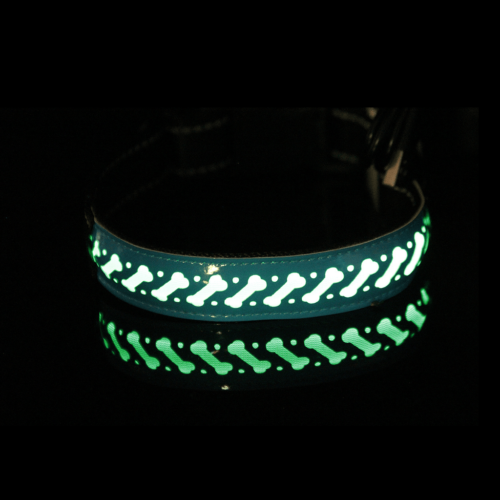 Hollow out LED dog collar - lumipup