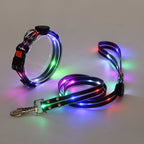 LED dog collar - lumipup
