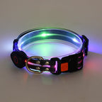 LED dog collar - lumipup
