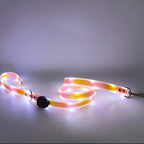 LED dog collar - lumipup