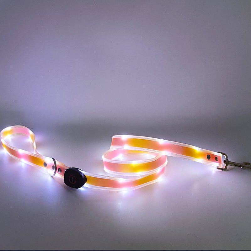 LED dog collar - lumipup