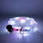 LED dog collar - lumipup