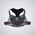 LED dog harness - lumipup