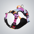LED pet harness - lumipup