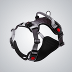 LED pet harness - lumipup