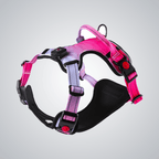 LED pet harness - lumipup