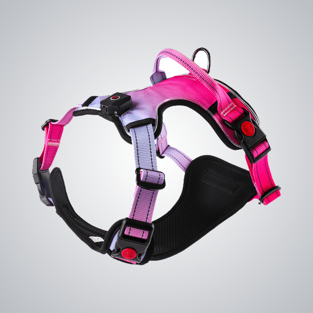 LED pet harness - lumipup