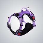 LED pet harness - lumipup