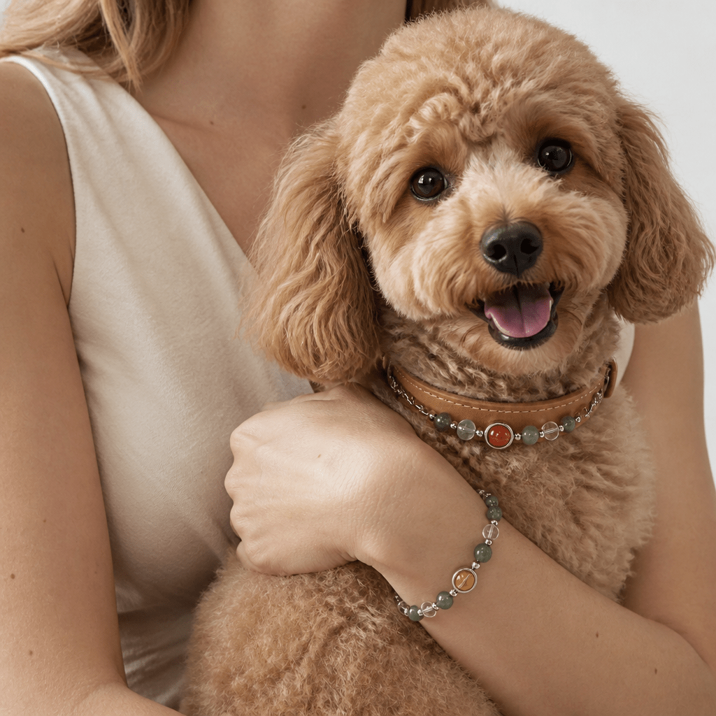 Natural Crystal & Genuine Leather Pet Collar with Matching Owner Bracelet - lumipup