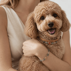 Natural Crystal & Genuine Leather Pet Collar with Matching Owner Bracelet - lumipup