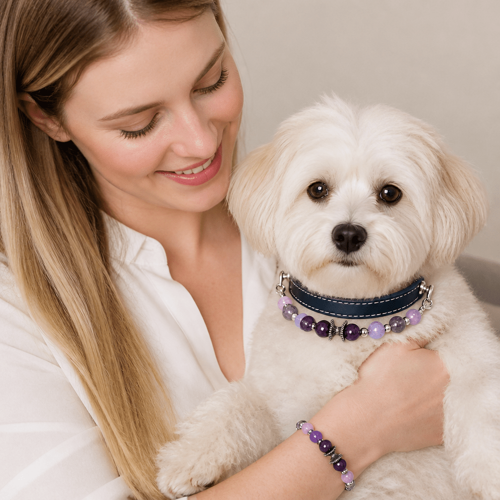 Natural Crystal & Leather Pet Collar with Matching Owner Bracelet Set - lumipup