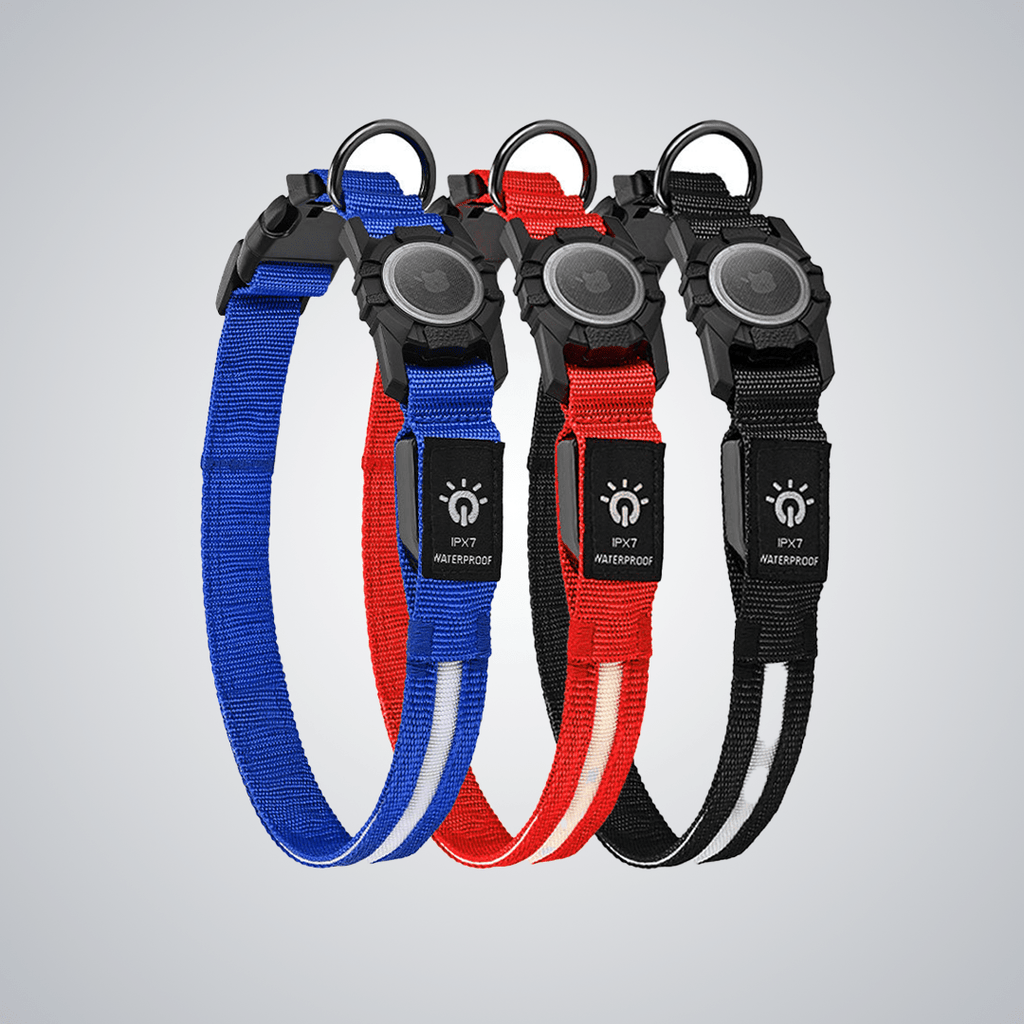 Pet light - up collar（Airtag Compatible） - lumipup
