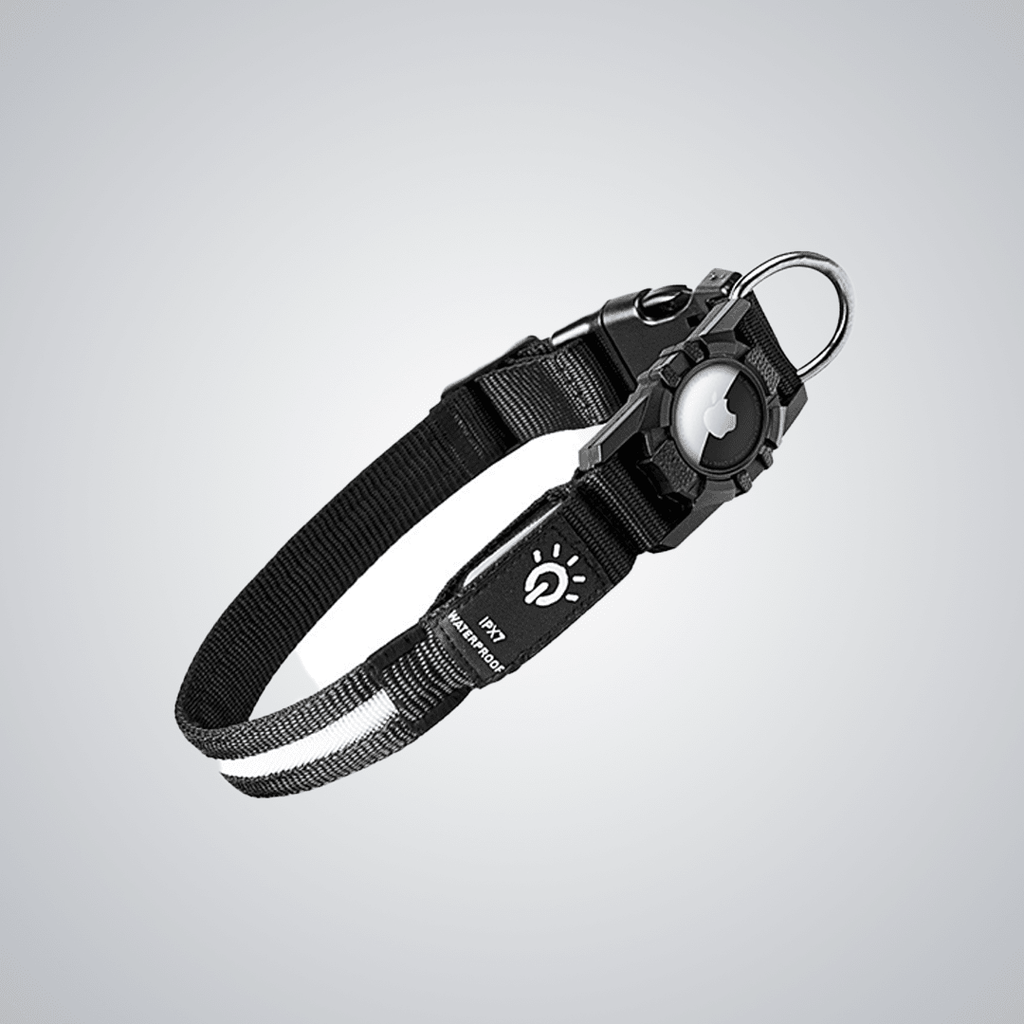 Pet light - up collar（Airtag Compatible） - lumipup