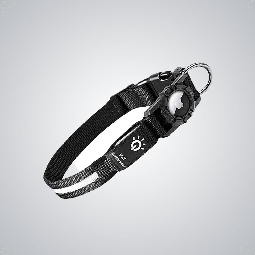 Pet light - up collar（Airtag Compatible） - lumipup