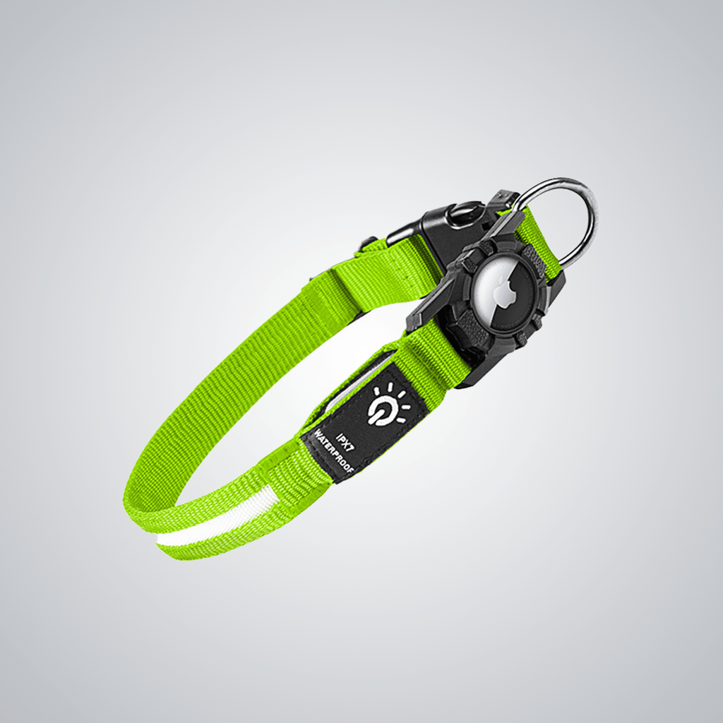 Pet light - up collar（Airtag Compatible） - lumipup