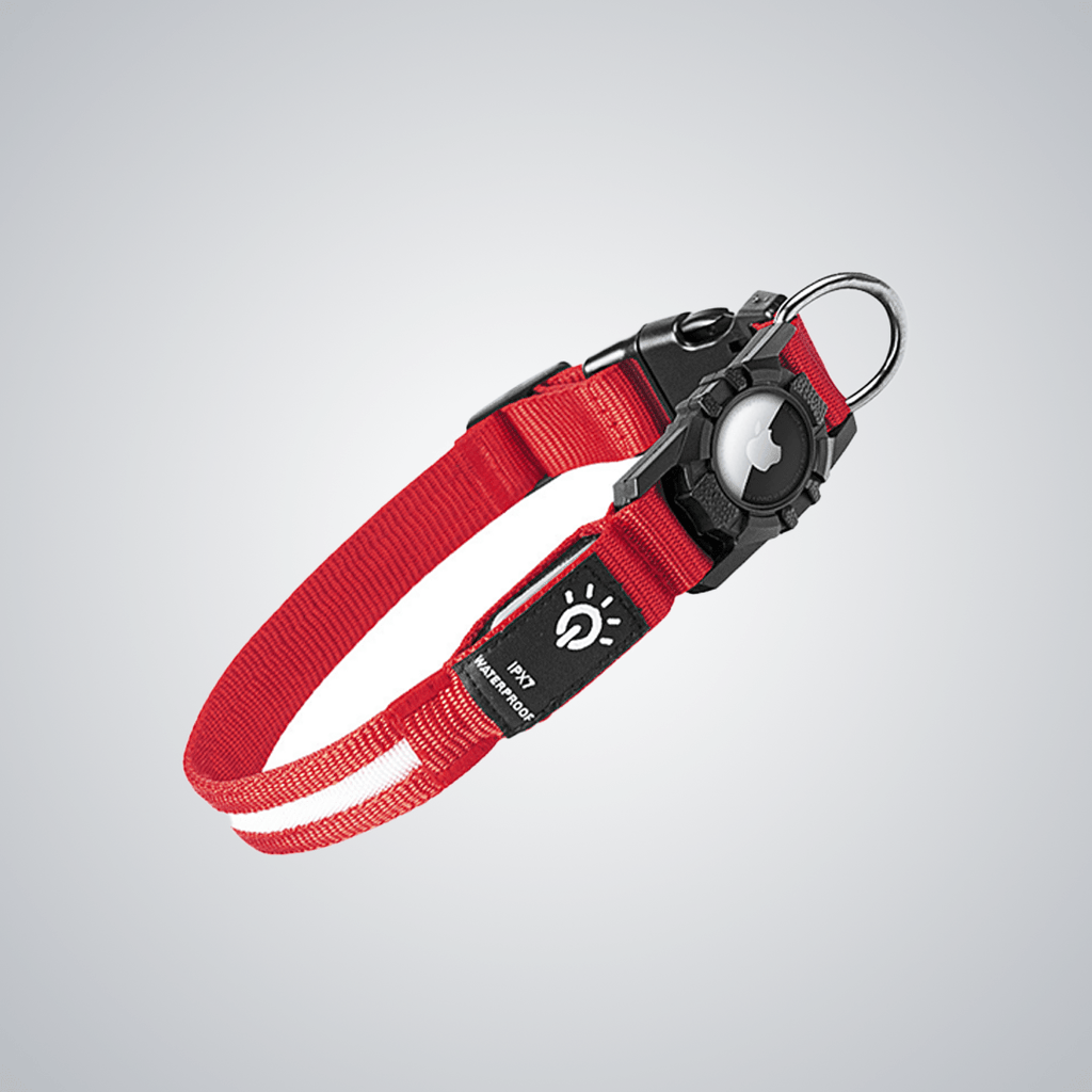 Pet light - up collar（Airtag Compatible） - lumipup