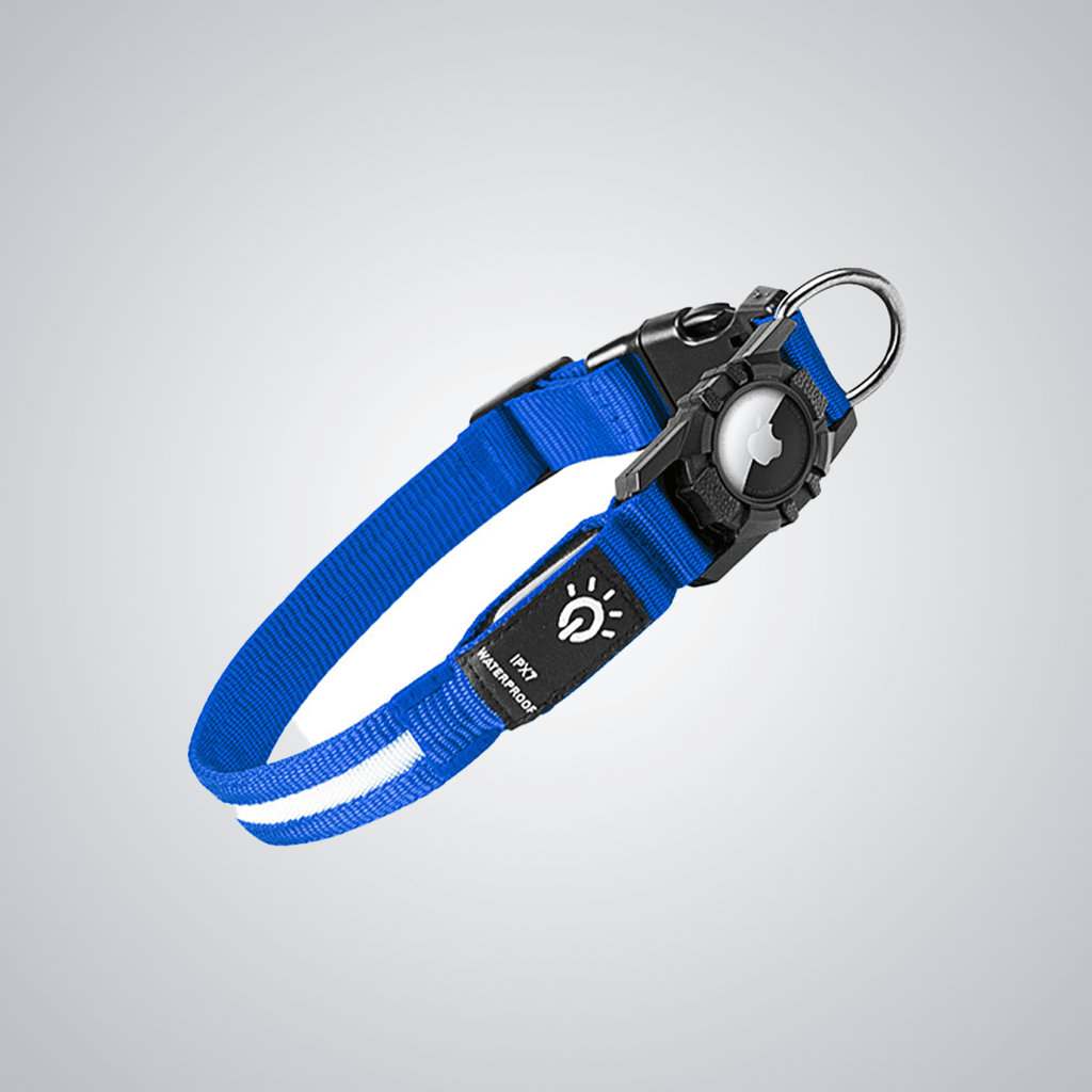 Pet light - up collar（Airtag Compatible） - lumipup