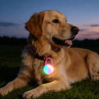 Pet night warning light - lumipup