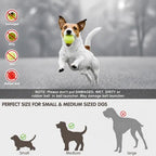 Pet pitching machine - lumipup