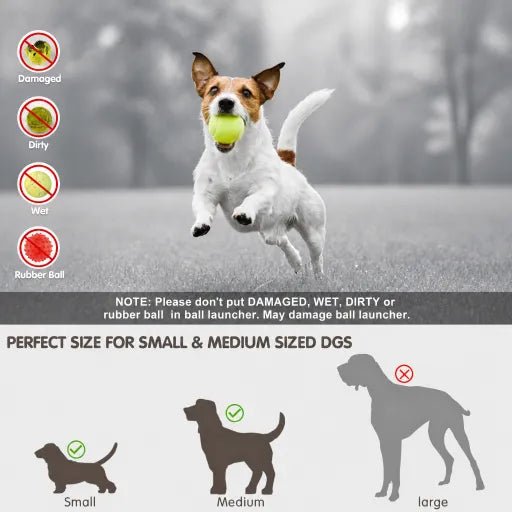 Pet pitching machine - lumipup