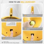 Pet pitching machine - lumipup