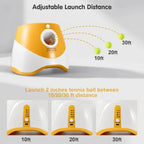 Pet pitching machine - lumipup