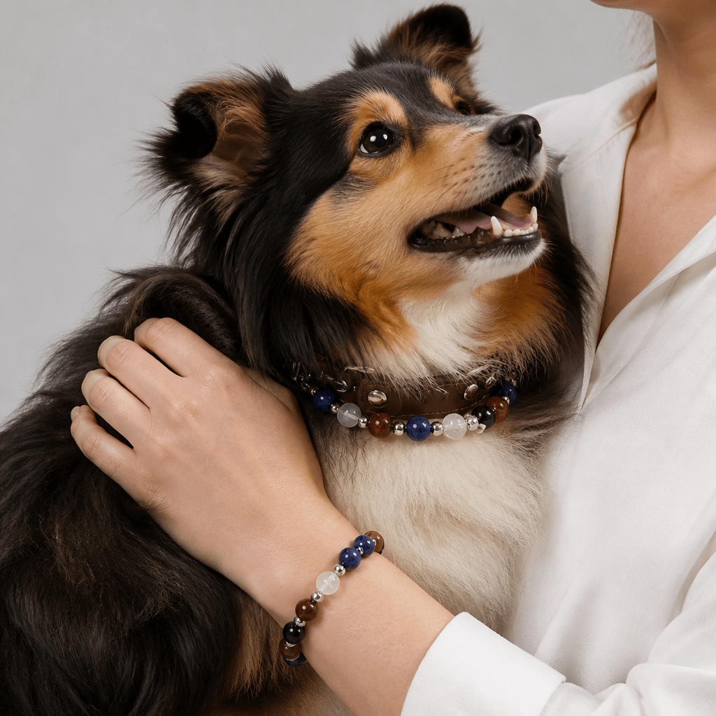 Premium Leather & Natural Stone Pet Collar with Matching Owner Bracelet Set - lumipup