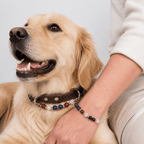 Premium Leather & Natural Stone Pet Collar with Matching Owner Bracelet Set - lumipup