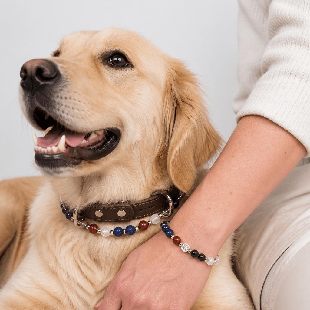 Premium Leather & Natural Stone Pet Collar with Matching Owner Bracelet Set - lumipup