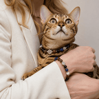 Premium Leather & Natural Stone Pet Collar with Matching Owner Bracelet Set - lumipup