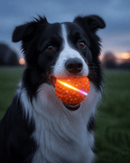 Safe material pet automatic rolling flashing chew ball - lumipup