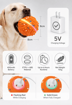 Safe material pet automatic rolling flashing chew ball - lumipup