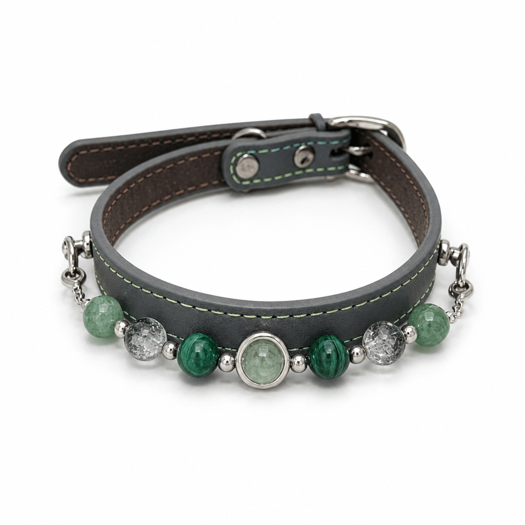 The "Forest Harmony" – Matching Pet Collar & Owner Bracelet Set - lumipup